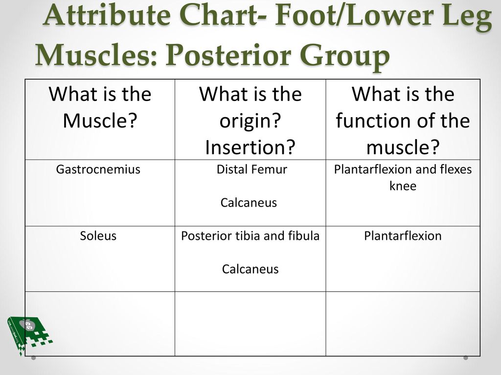 Foot Chart Origin