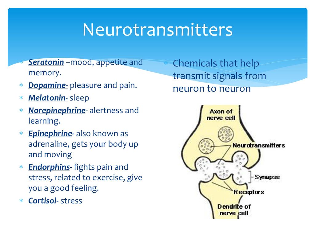 Neurotransmitters Seratonin –mood, appetite and memory. Dopamine- pleasure and pain. Melatonin- sleep.