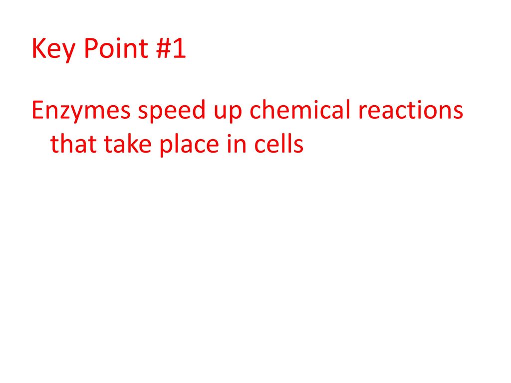 Key Point #1 Enzymes speed up chemical reactions that take place in cells