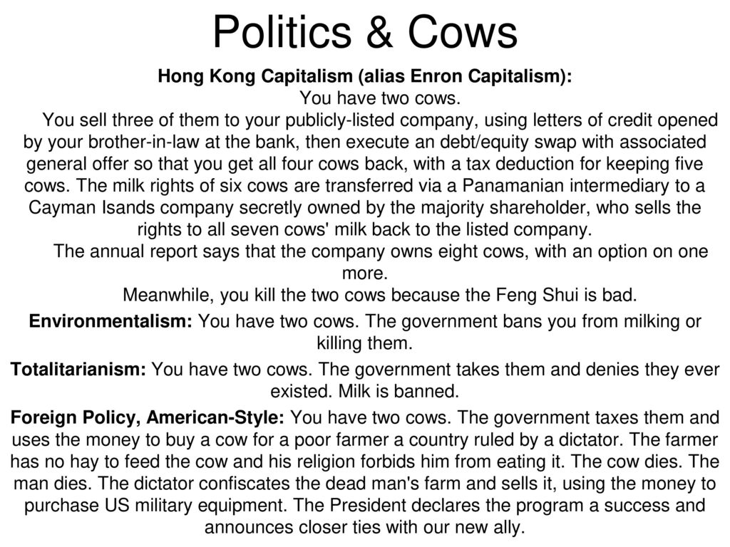 Politics & Cows
