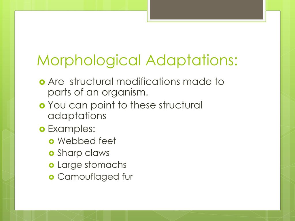 adaptations-ppt-download
