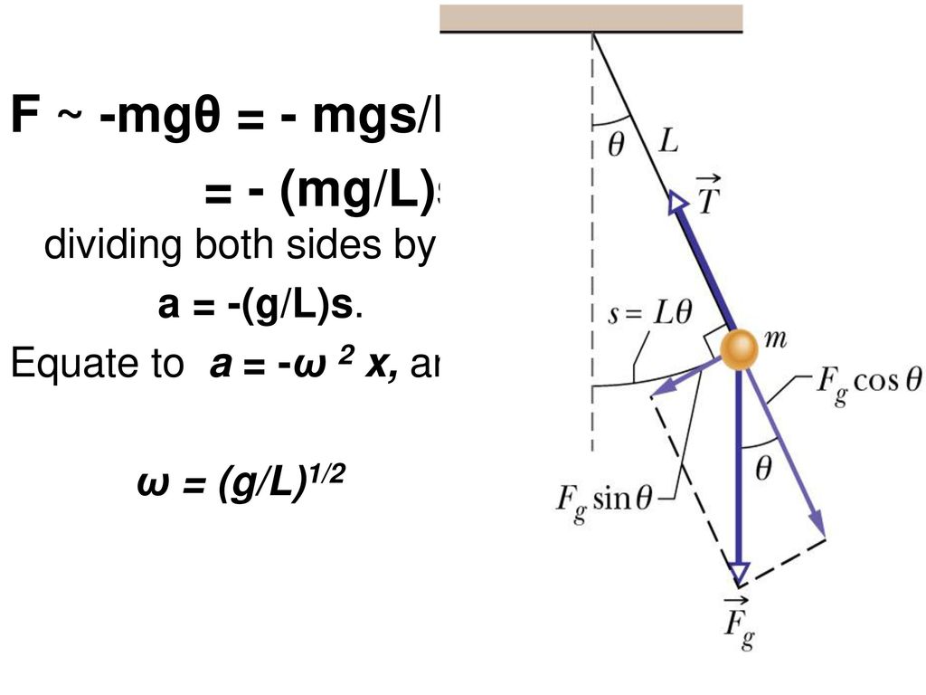 Simple Harmonic Motion Ppt Download