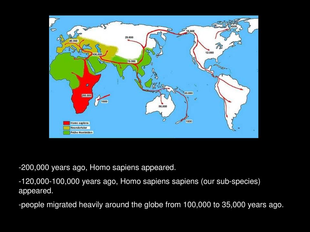 0 000 Years Ago Homo Sapiens Appeared Ppt Download