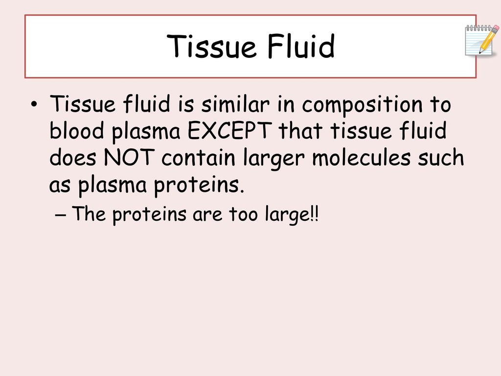 Tissue Fluid