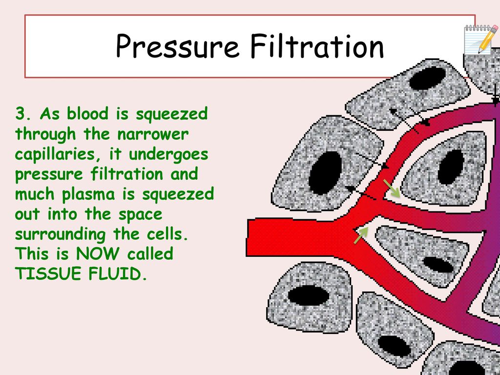 Pressure Filtration