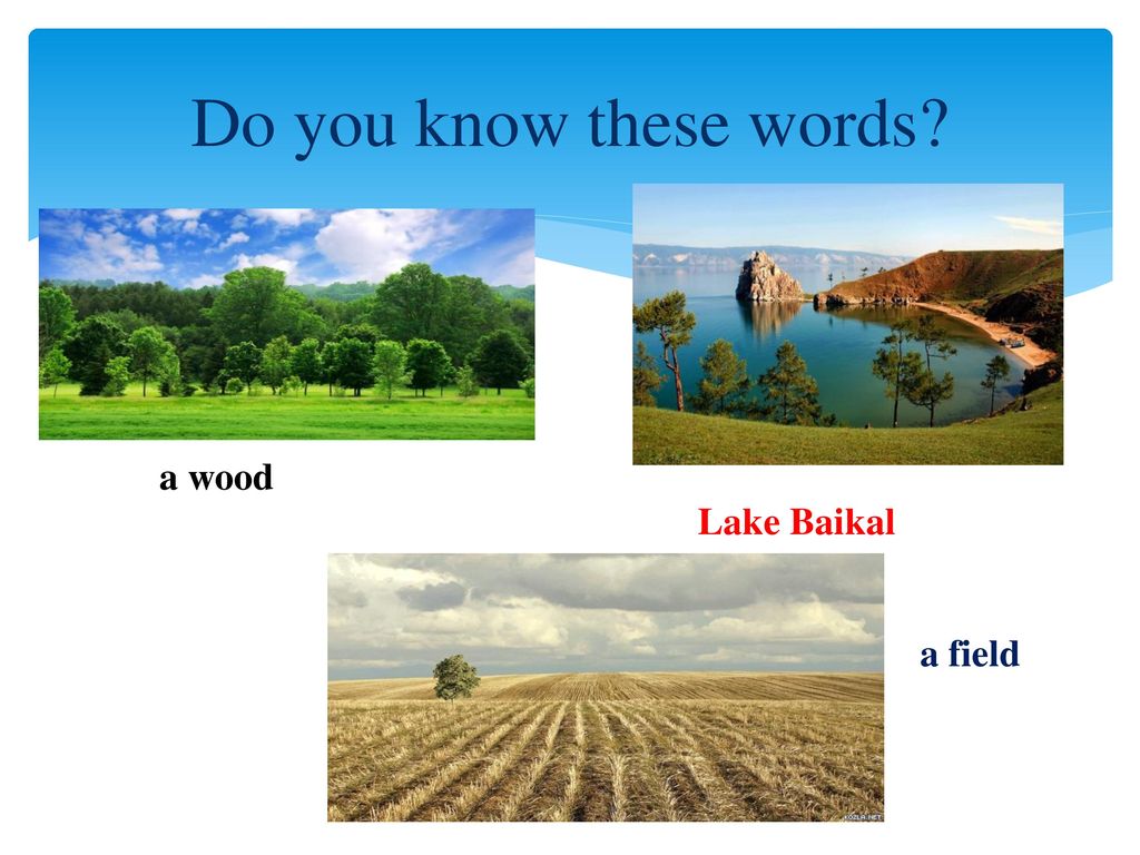 Do you know these words