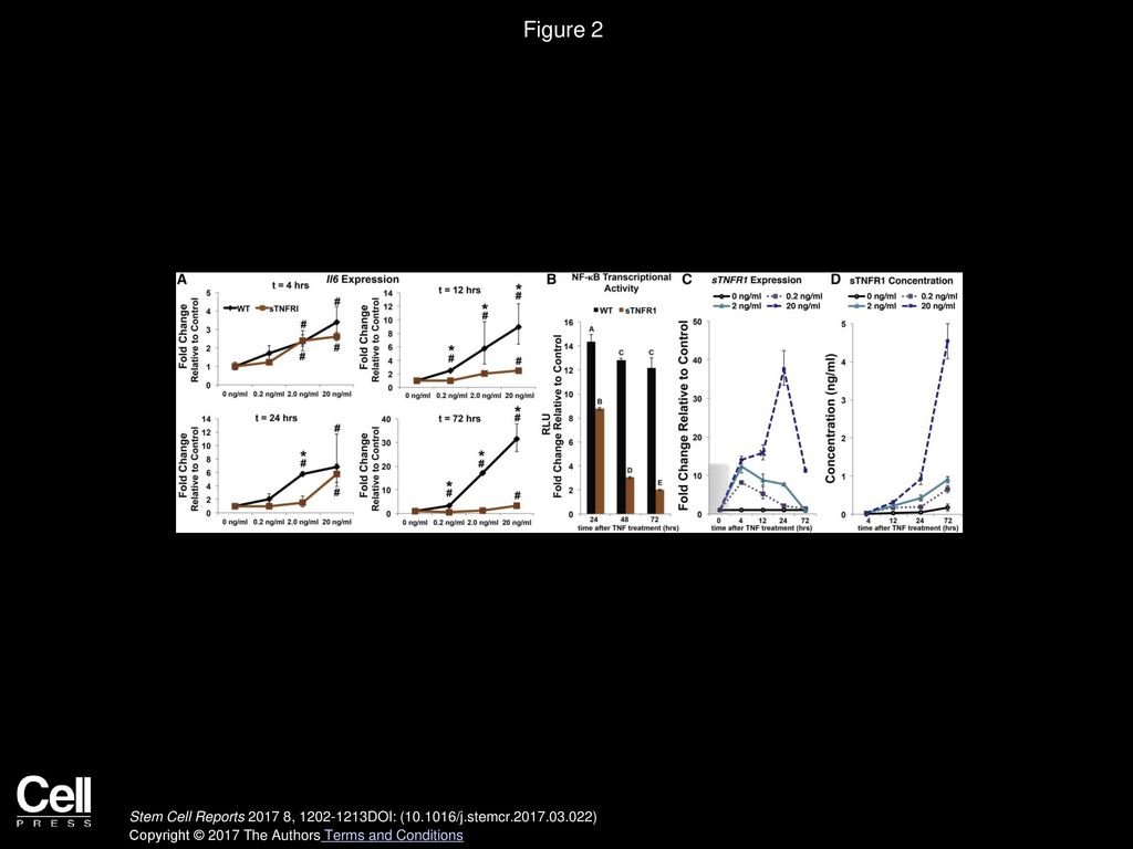 Figure 2 Characterization of Efficacy of Self-Regulated Drug Production.