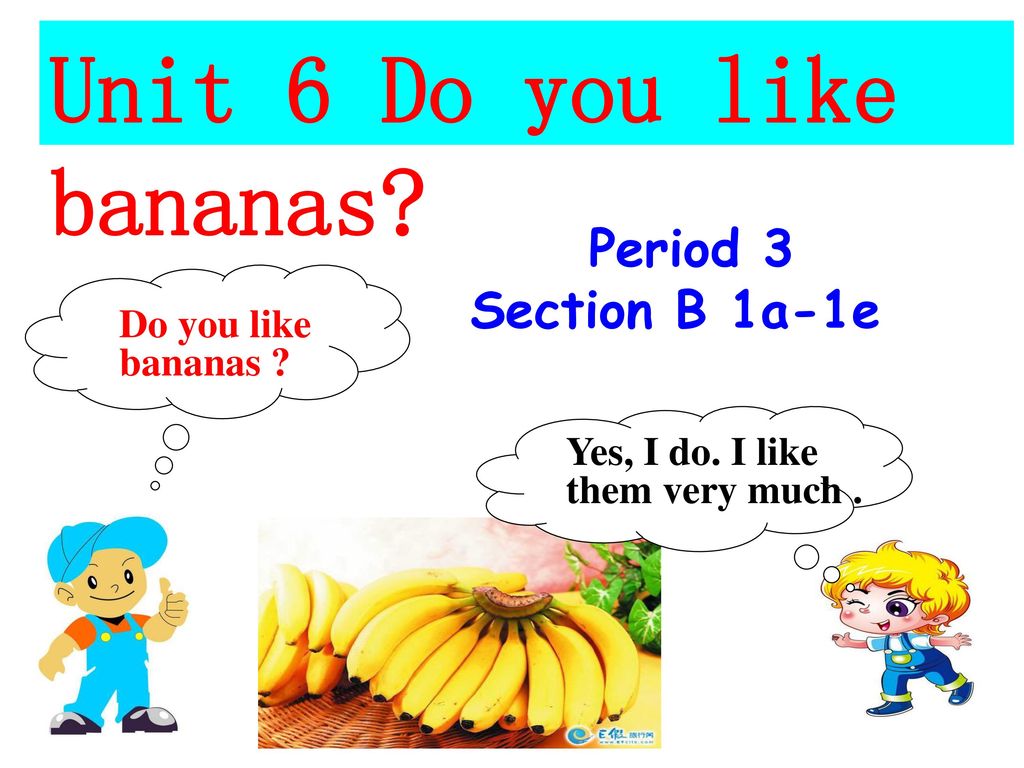 Bananas did you have