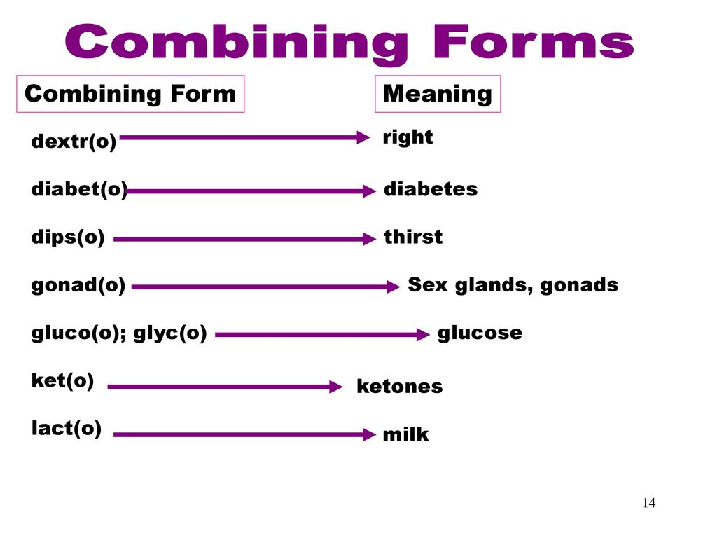 Medical Terminology Essentials Chapter ppt download