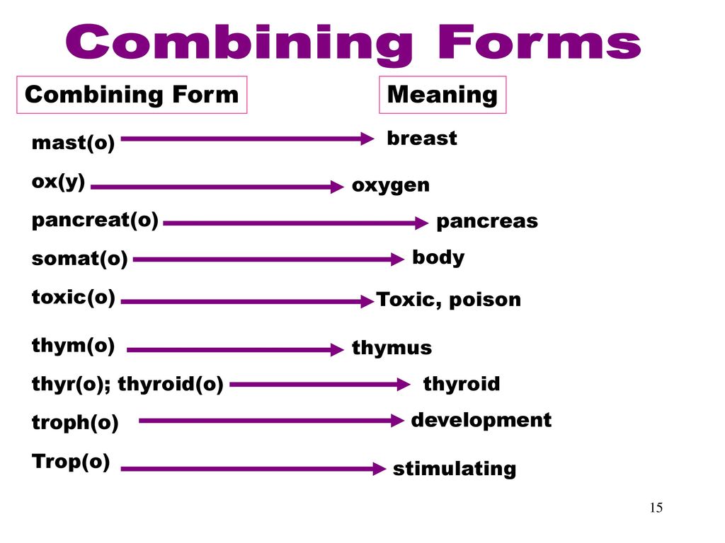 Medical terminology essentials chapter ppt download