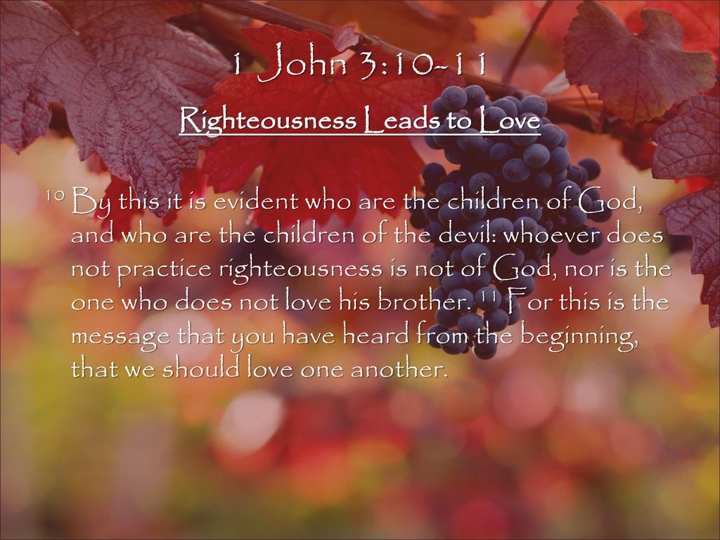 The Test Of Love 1 John 3 10 18 April 18 Ppt Download the-test-of-love-1-john-3-10-18-april-18-ppt-download