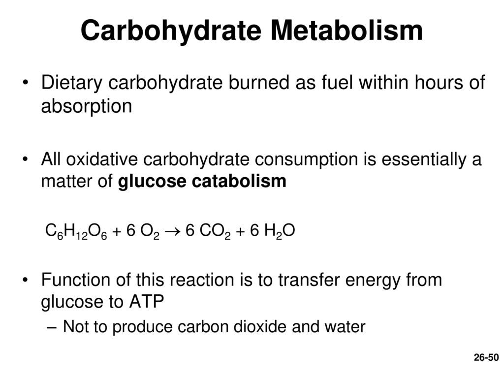 Chapter 26 Nutrition And Metabolism Apr Lecture Animation Powerpoint Ppt Download