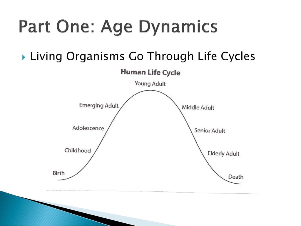 Part One: Age Dynamics Living Organisms Go Through Life Cycles