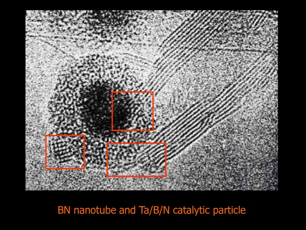 BN nanotube and Ta/B/N catalytic particle