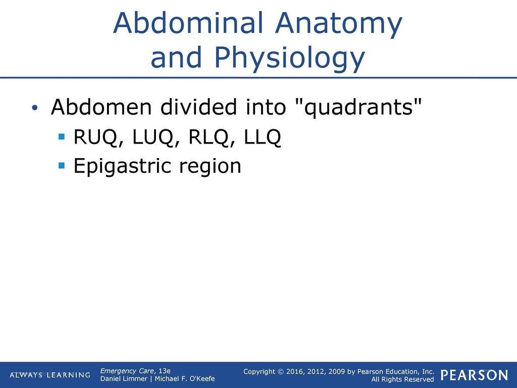 Abdominal Anatomy and Physiology