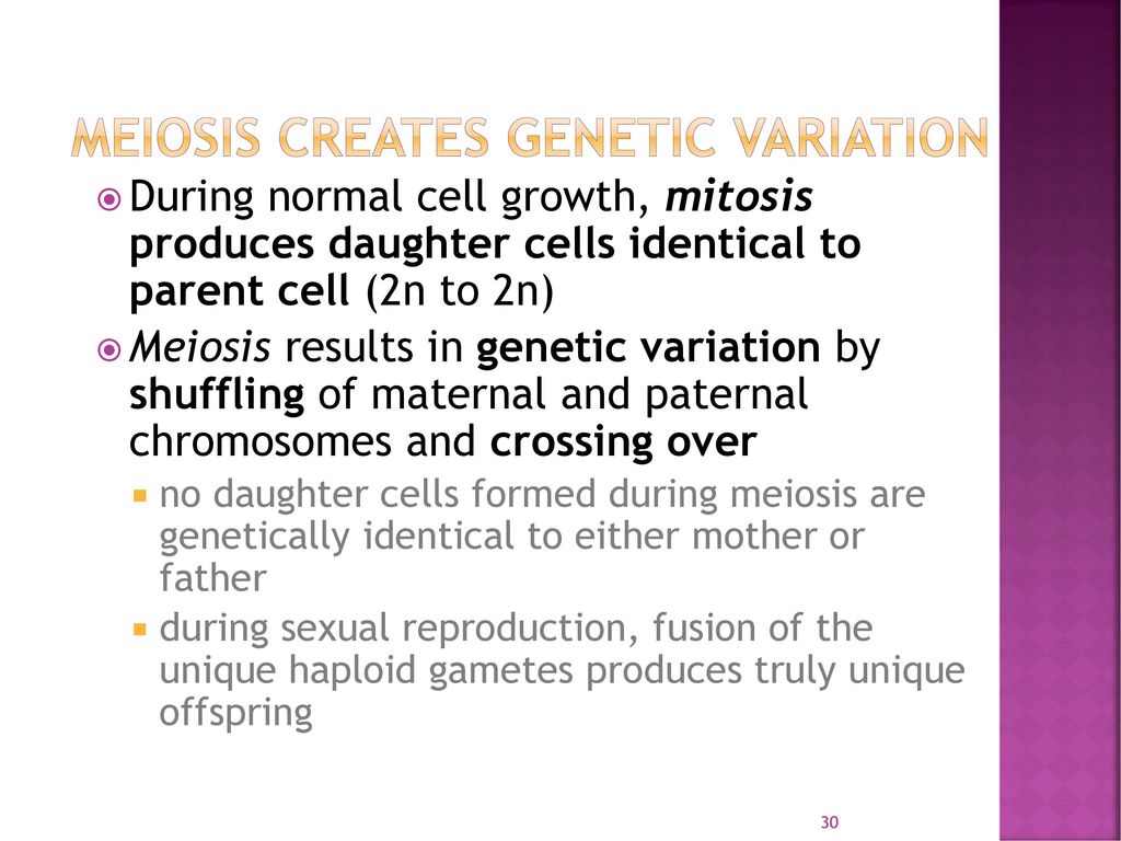 Sperm & Eggs & Variation..OH MY! Biology Diagrams