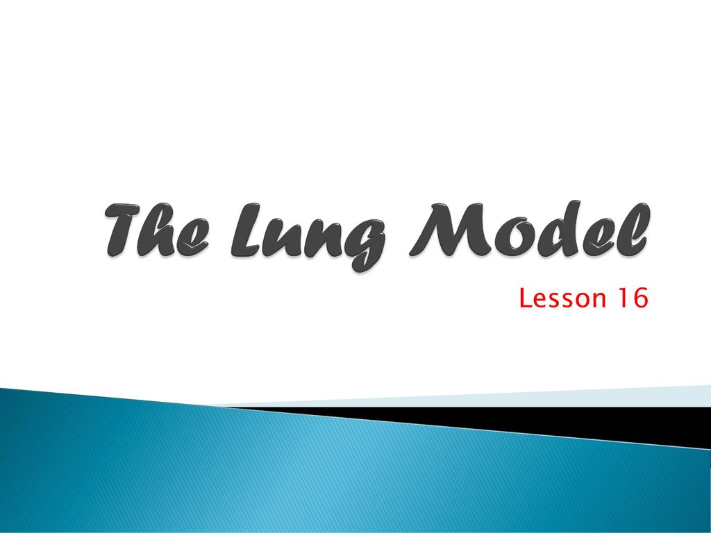 The Lung Model Lesson 16