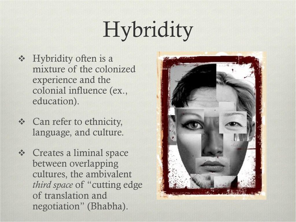 Case Study 5: Cultural Hybridity - ppt download