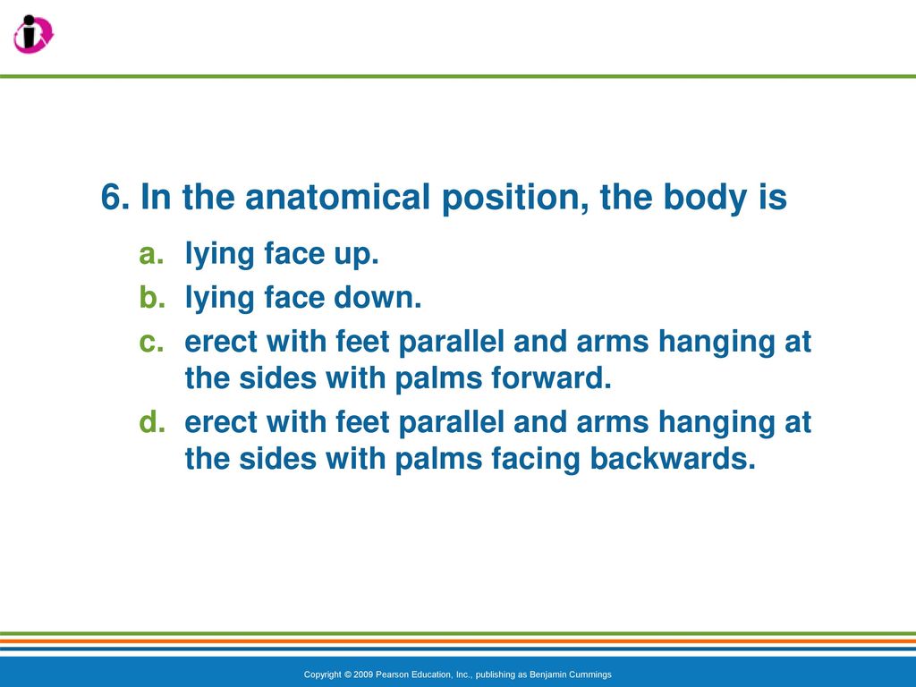 6. In the anatomical position, the body is