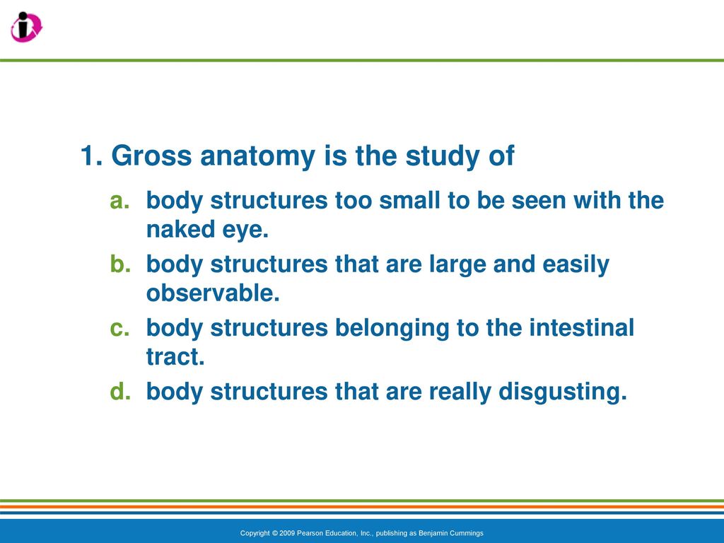 The Human Body: An Orientation Biology Diagrams