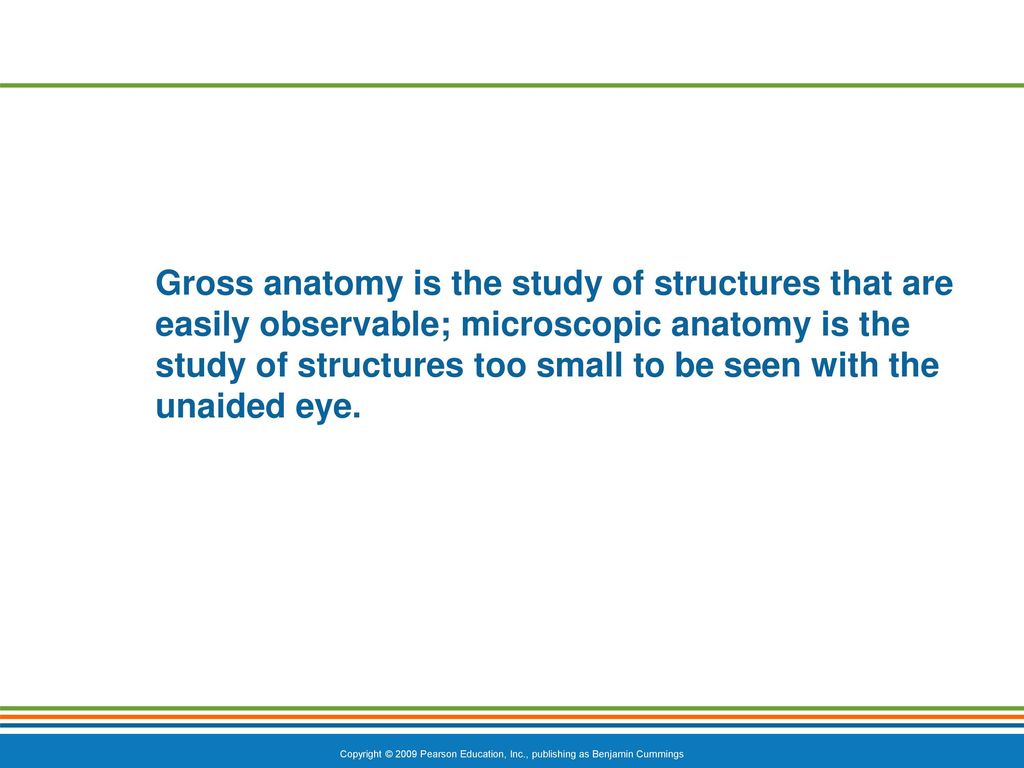 The Human Body: An Orientation Biology Diagrams
