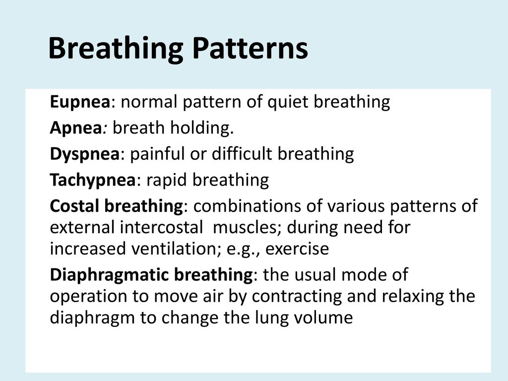 The Respiratory System - ppt download