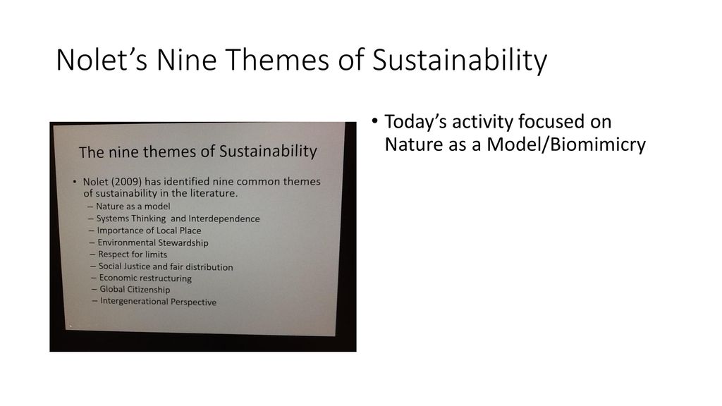 Nolet’s Nine Themes of Sustainability