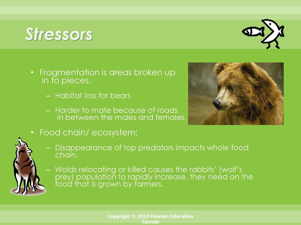 Adventure Tourism & Ecotourism - ppt download