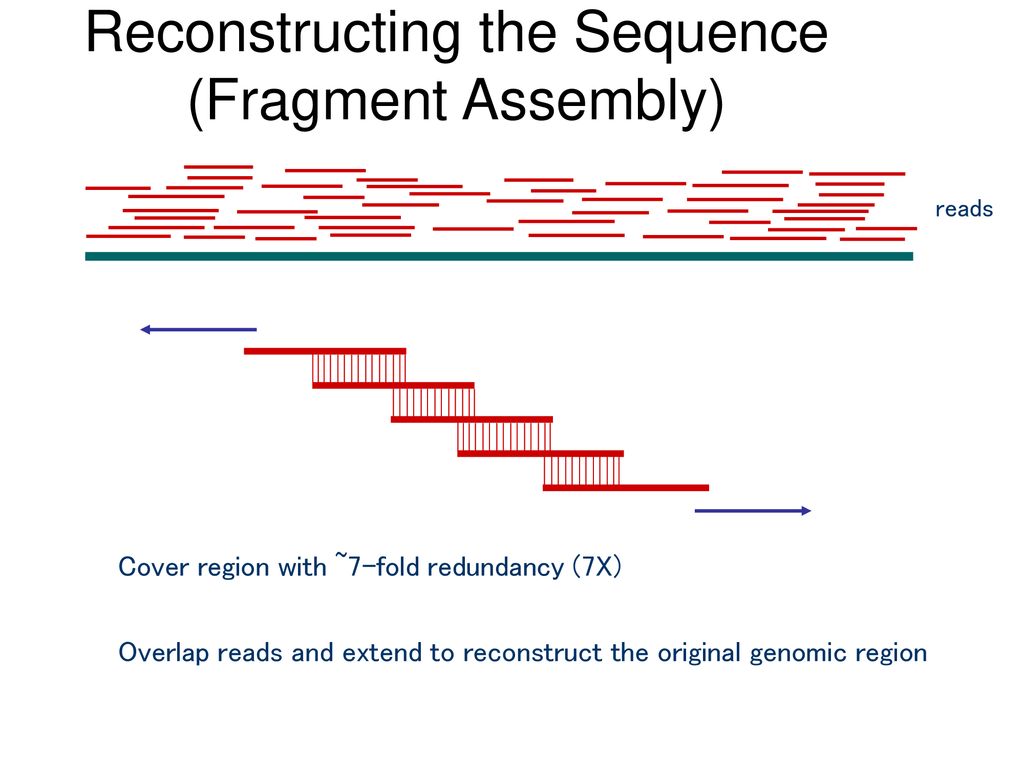 CS296-5 Genomes, Networks, and Cancer - ppt download