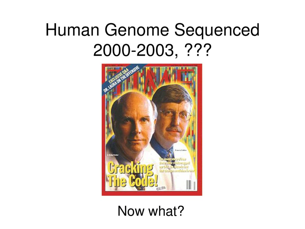 CS296-5 Genomes, Networks, and Cancer - ppt download
