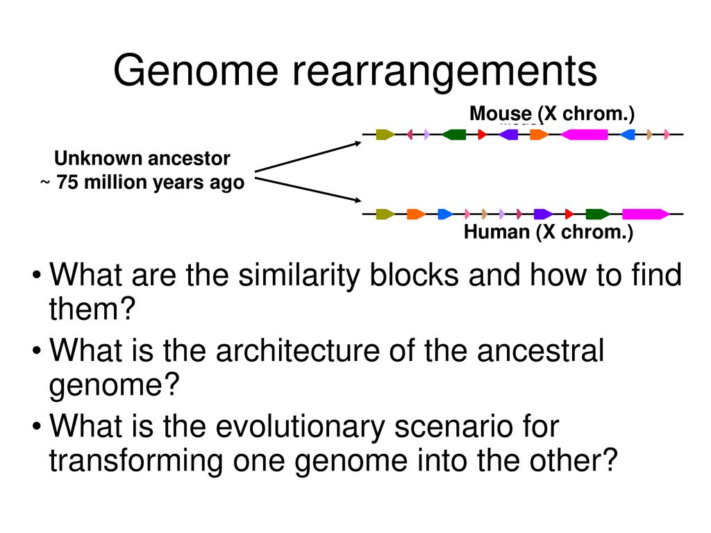 CS296-5 Genomes, Networks, and Cancer - ppt download