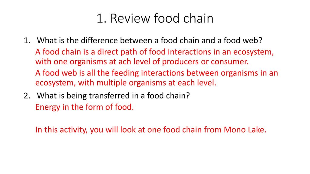 Chain Game 55 ppt download Biology Diagrams