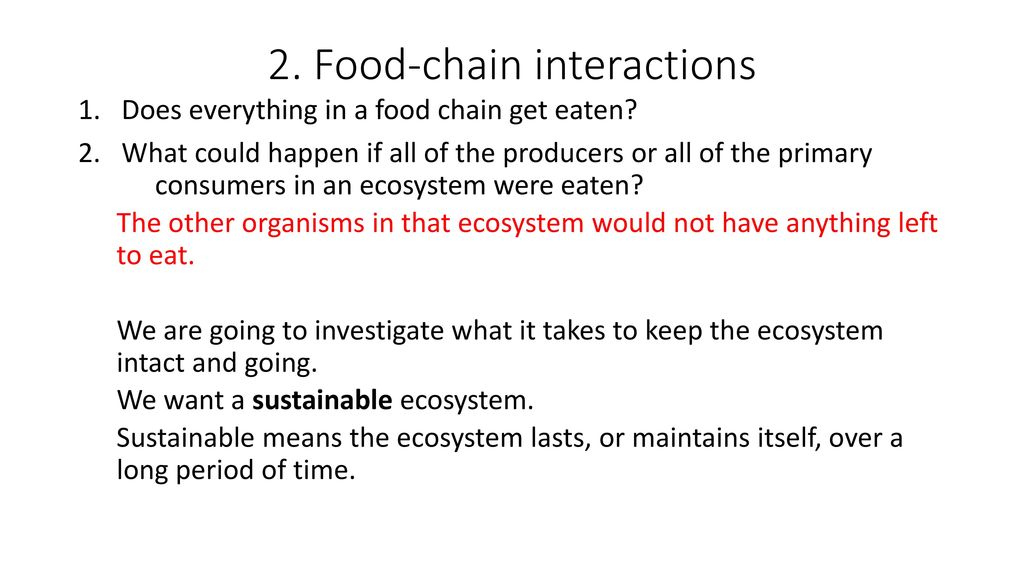 Chain Game 5/5/ ppt download Biology Diagrams