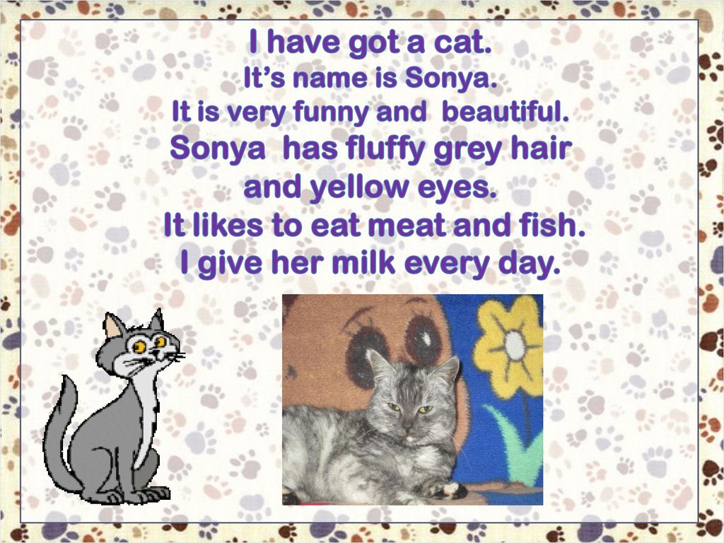 Cat s name is. Рассказ о кошке на английском языке. Рассказать о своем питомце на англ языке. Разказ про кошу на англискомязыке. Проект по английскому языку мой питомец.