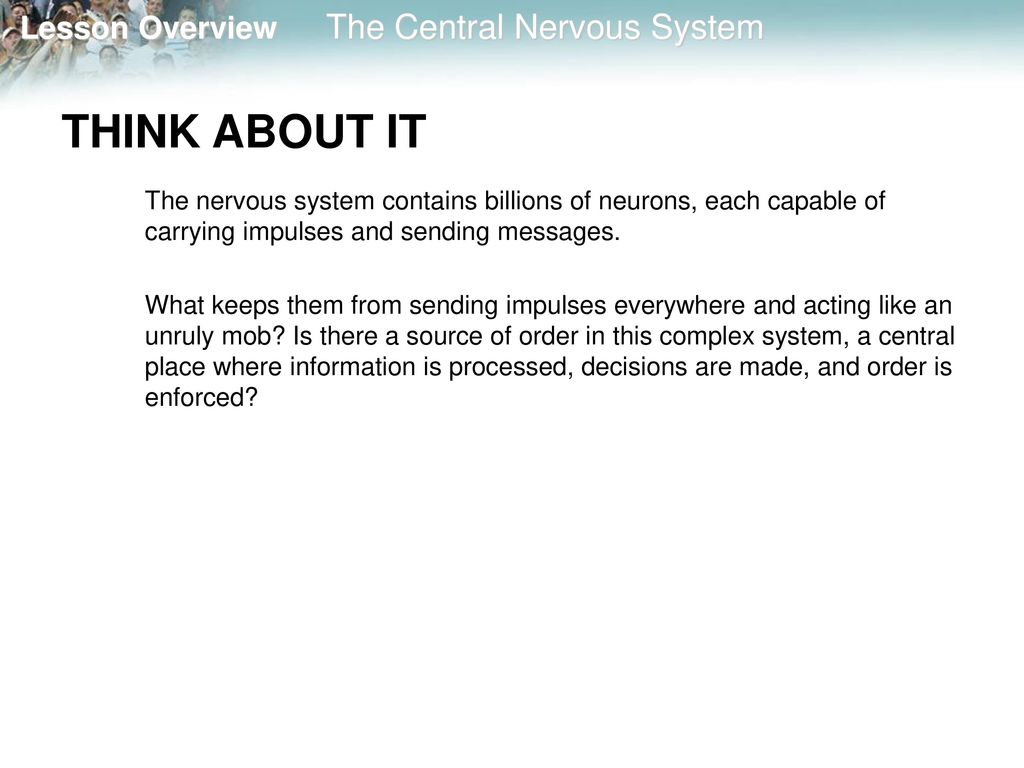 THINK ABOUT IT The nervous system contains billions of neurons, each capable of carrying impulses and sending messages.
