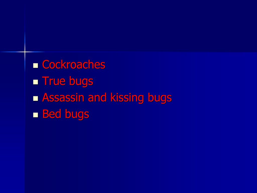 Cockroaches True bugs Assassin and kissing bugs Bed bugs