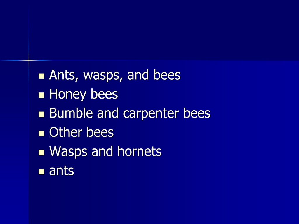Ants, wasps, and bees Honey bees Bumble and carpenter bees Other bees Wasps and hornets ants