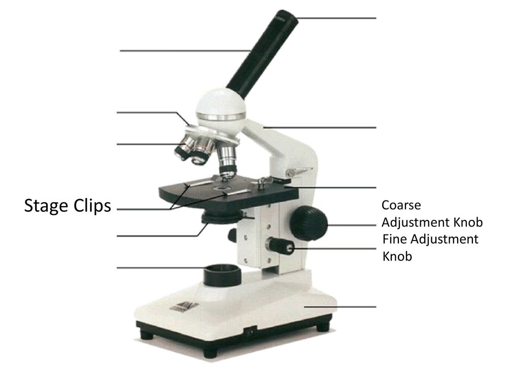Какую часть работы выполняет окуляр. Микроскоп Kena t-1050. Микроскоп строение тубусодержатель 2 окуляра. Микроскоп Микроскрин. Строение микроскопа конденсор.