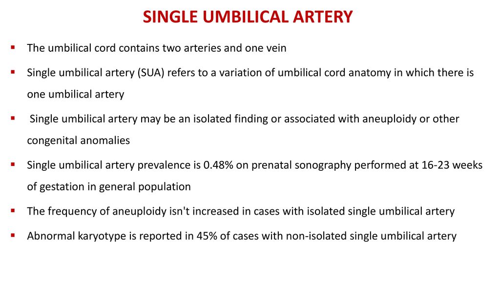 PERINATAL OUTCOMES IN CASES WITH SINGLE UMBILICAL ARTERY - ppt download