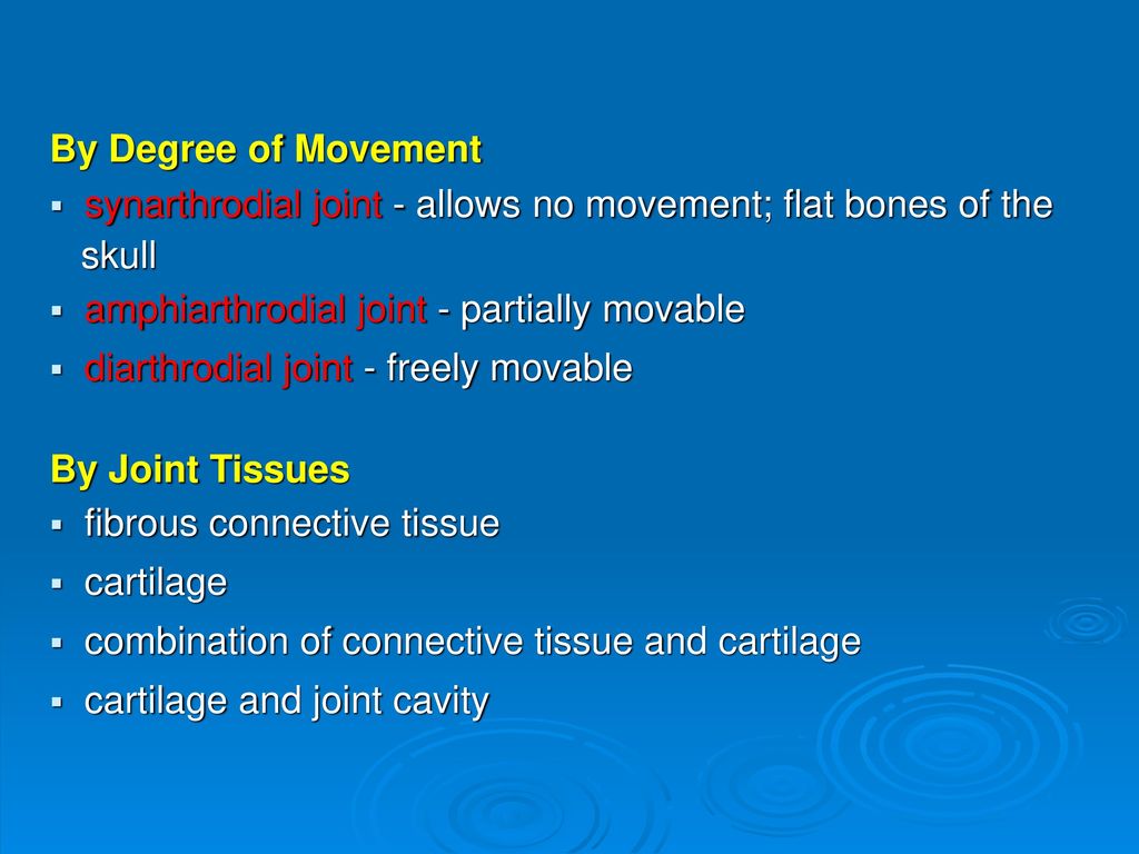 Articulations of the spine and thorax ppt download