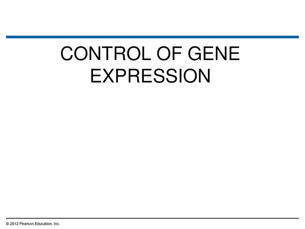 CONTROL OF GENE EXPRESSION