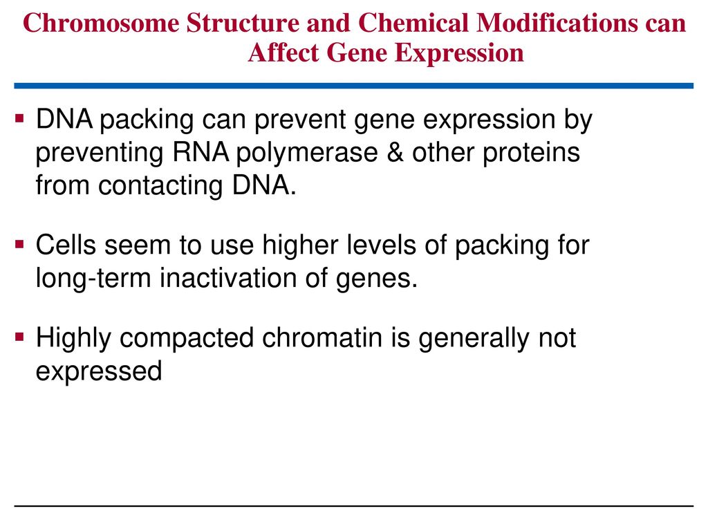 Highly compacted chromatin is generally not expressed