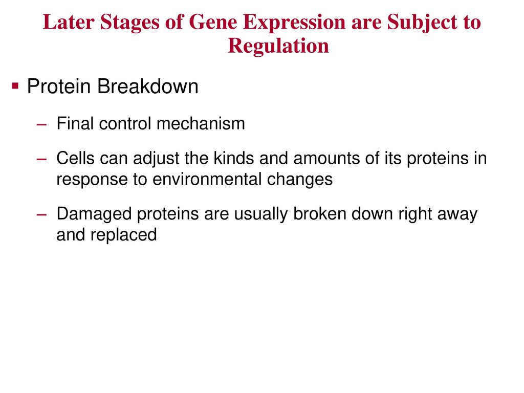 Later Stages of Gene Expression are Subject to Regulation