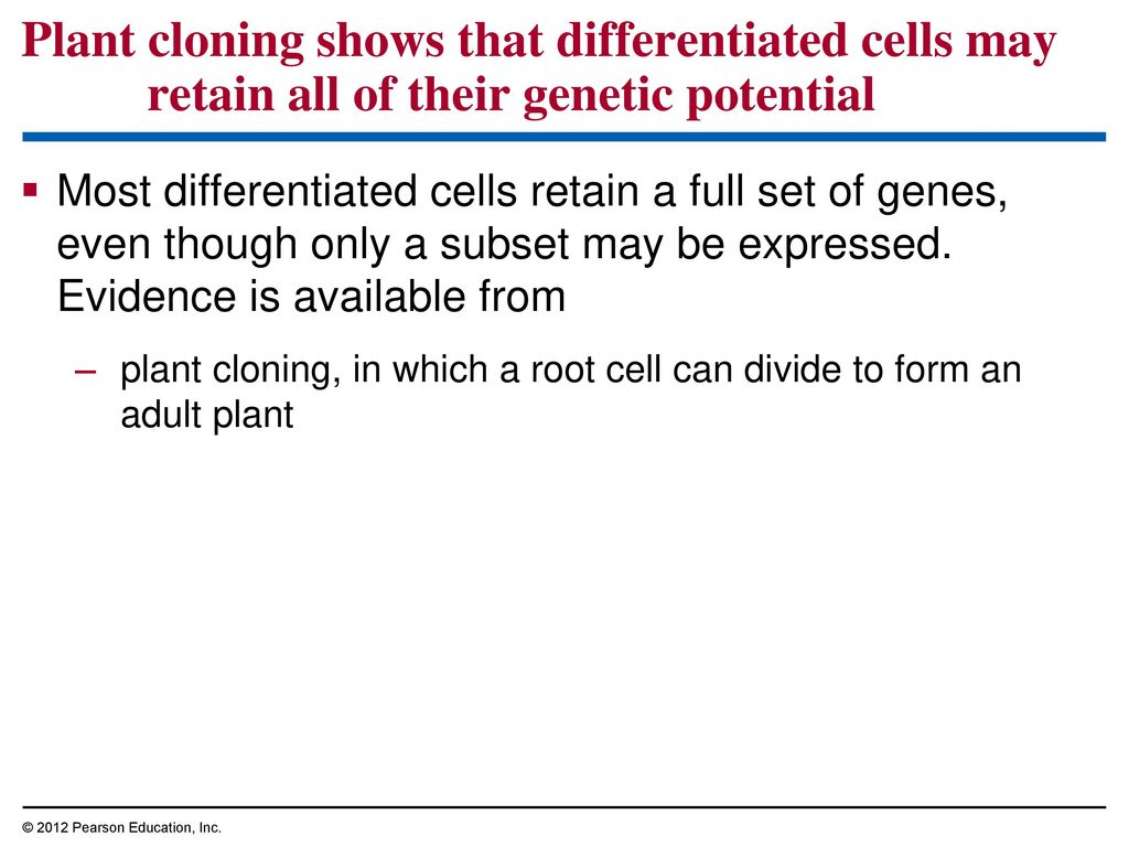 Plant cloning shows that differentiated cells may retain all of their genetic potential