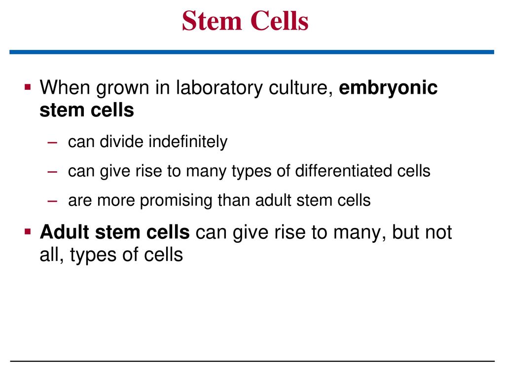 Stem Cells When grown in laboratory culture, embryonic stem cells