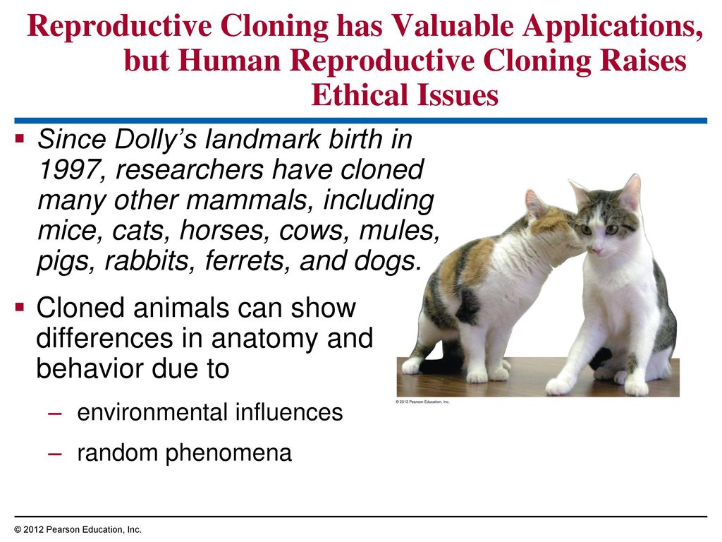 Reproductive Cloning has Valuable Applications, but Human Reproductive Cloning Raises Ethical Issues