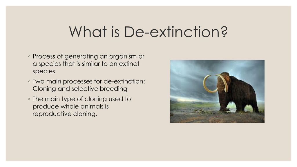 De-extinction: woolly mammoth regeneration - ppt download