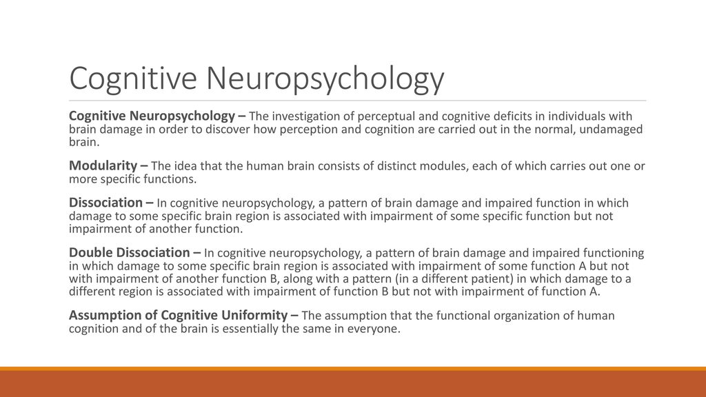 Fundamentals of Sensation and Perception - ppt download