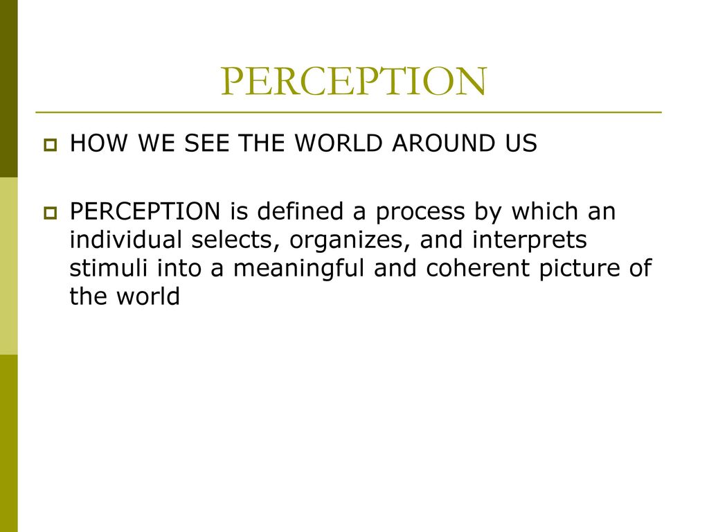PERCEPTION HOW WE SEE THE WORLD AROUND US