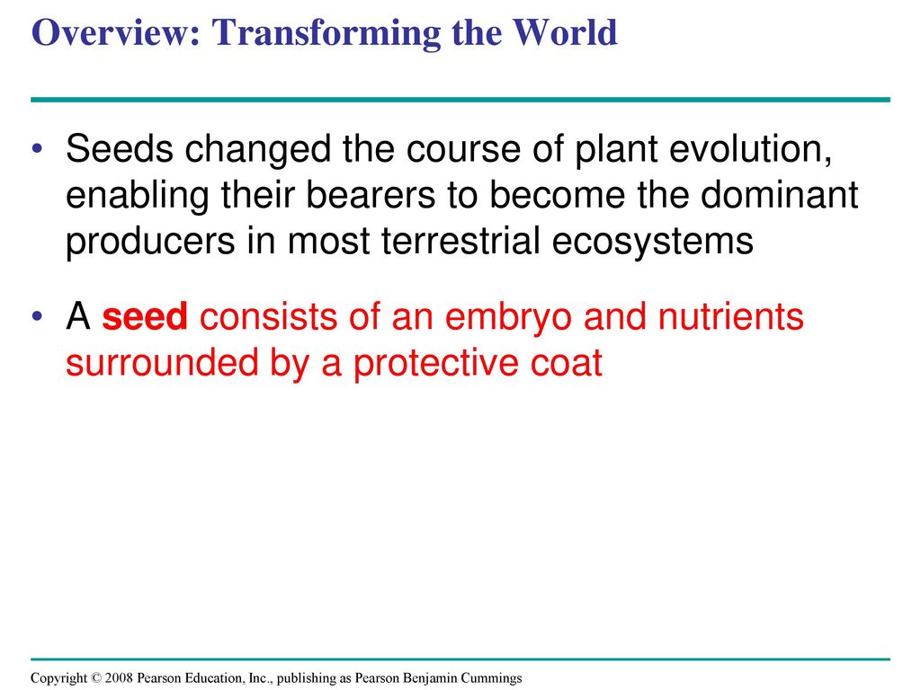 Plant Diversity II: The Evolution of Seed Plants - ppt download